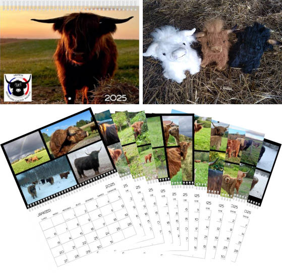 calendrier