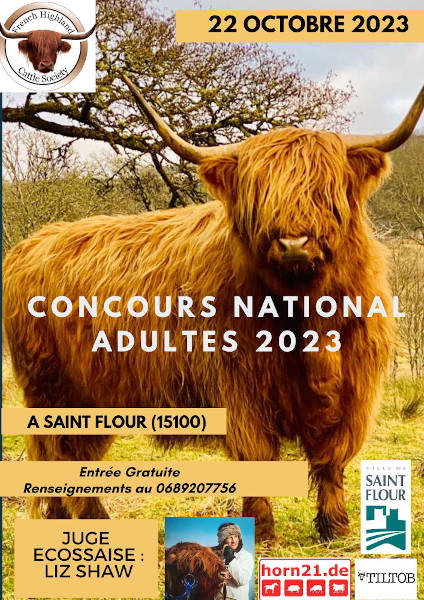 Concours
                National Adultes 2023