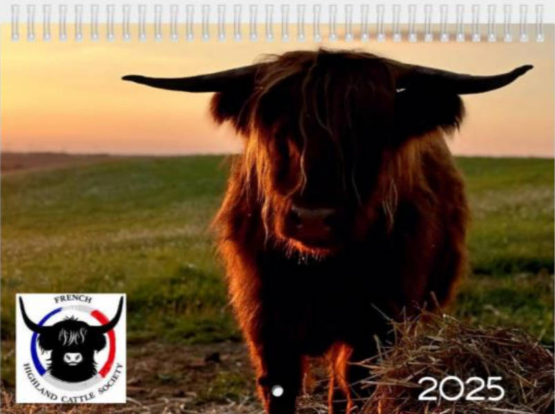 Calendrier 2025
