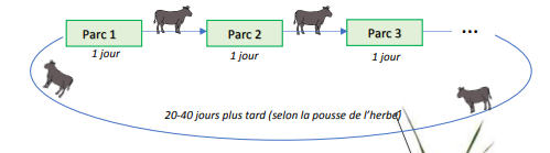 rotation
                pâturage