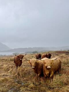 Highlands