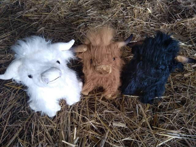 Peluches