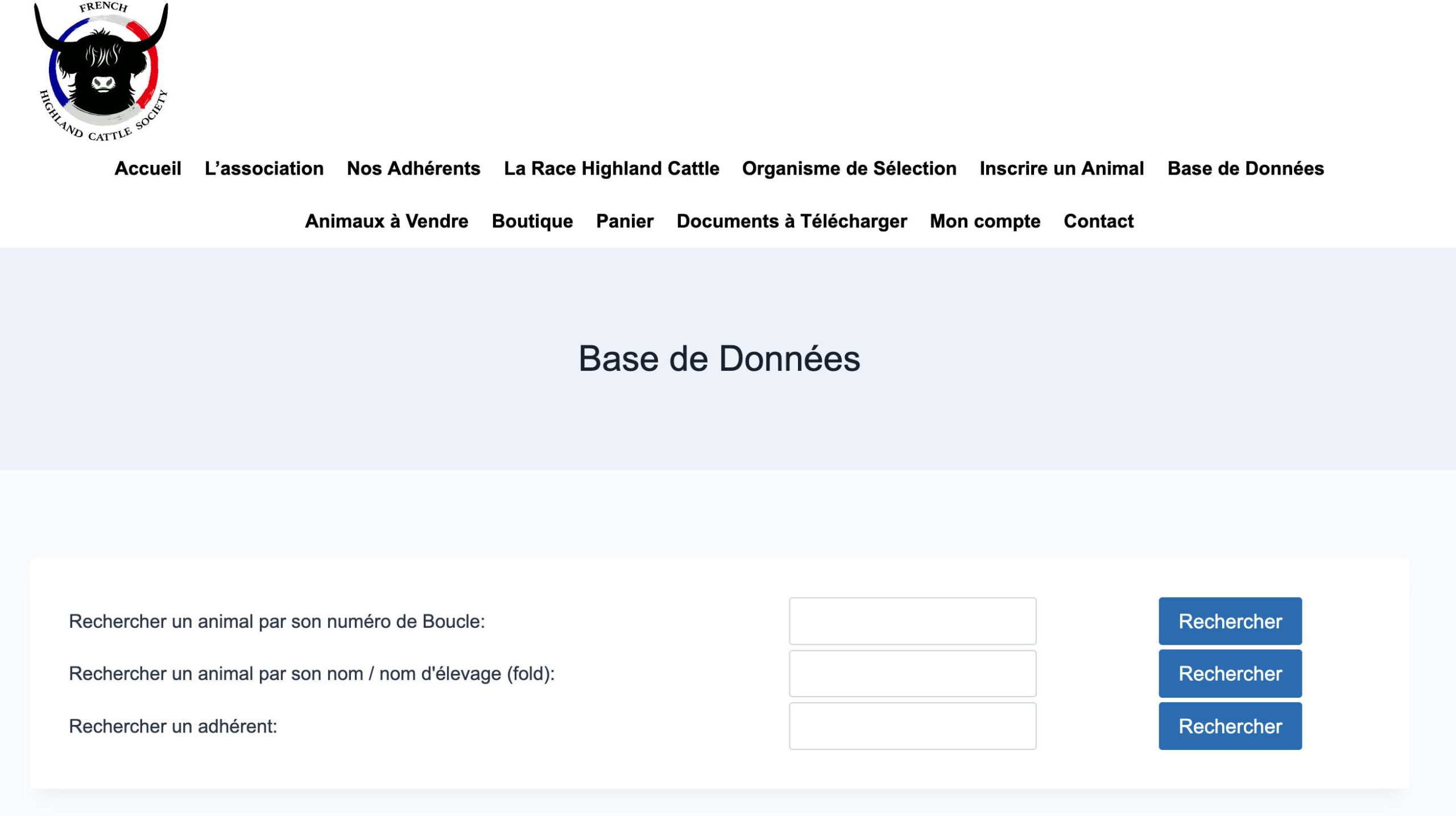 Base de Données