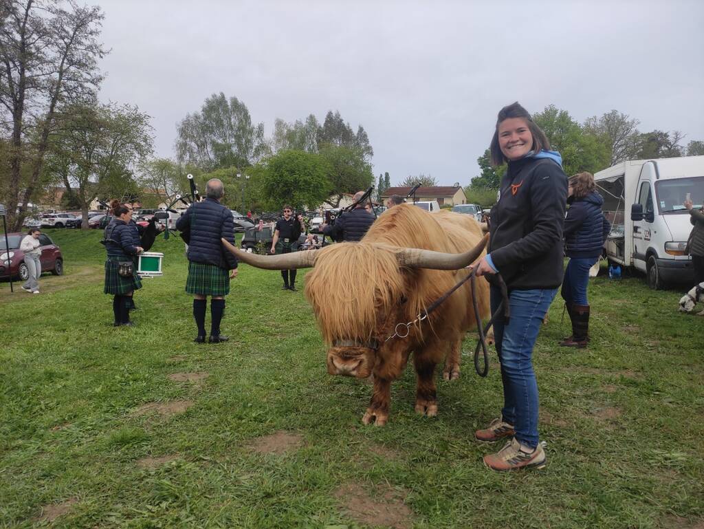 pipe band et toreau