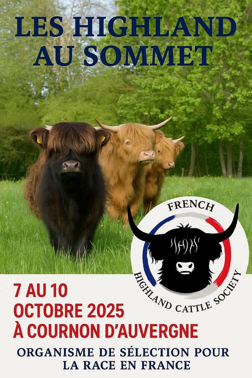 Highlands au Sommet