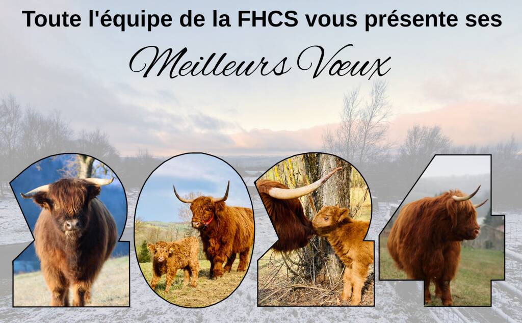 Meilleur Voeux