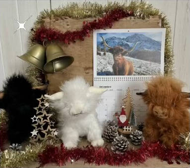 Peluches et Calendrier