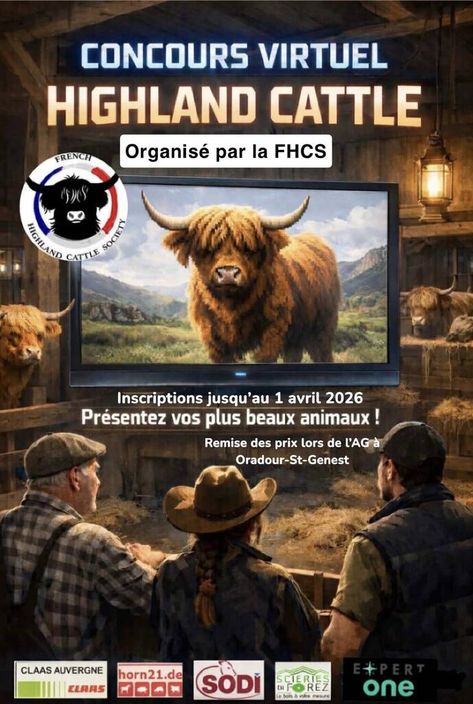 Concurs Virtuel