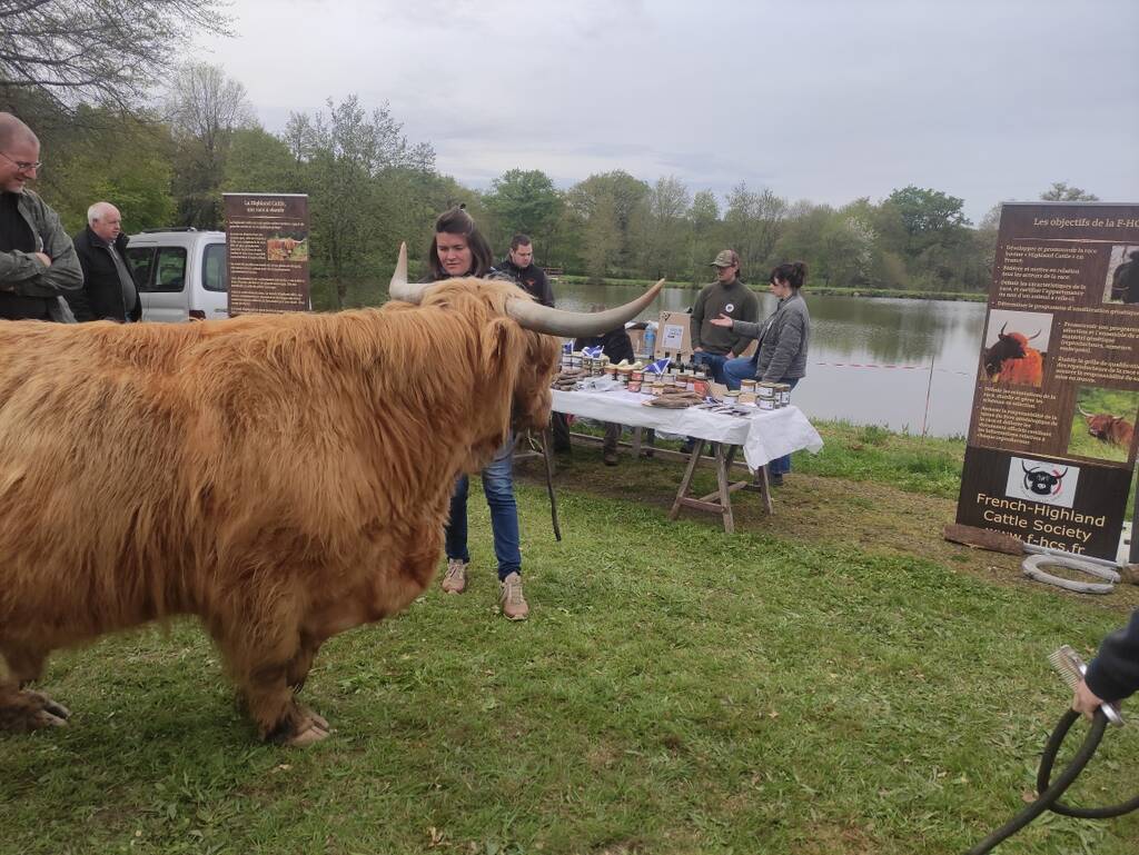 stand et taurau